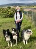Heather with Scooby, Gina & Flynn enjoying a walk in Zaragoza, on their journey from Camposol in Murcia, Spain to their new home in Andover, Hants, UK.
